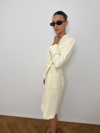 Burnish Dress