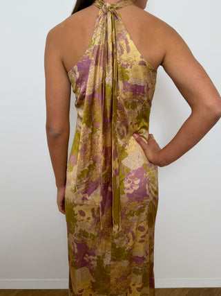 Angel Pari Dress