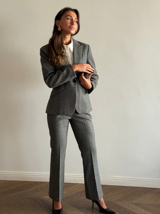 Gray Glitter Suit